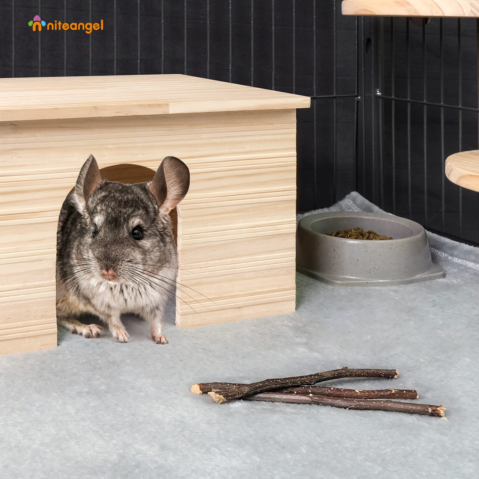 Niteangel cadeau petits animaux pomme – idée naturelle pour récompenser votre compagnon.