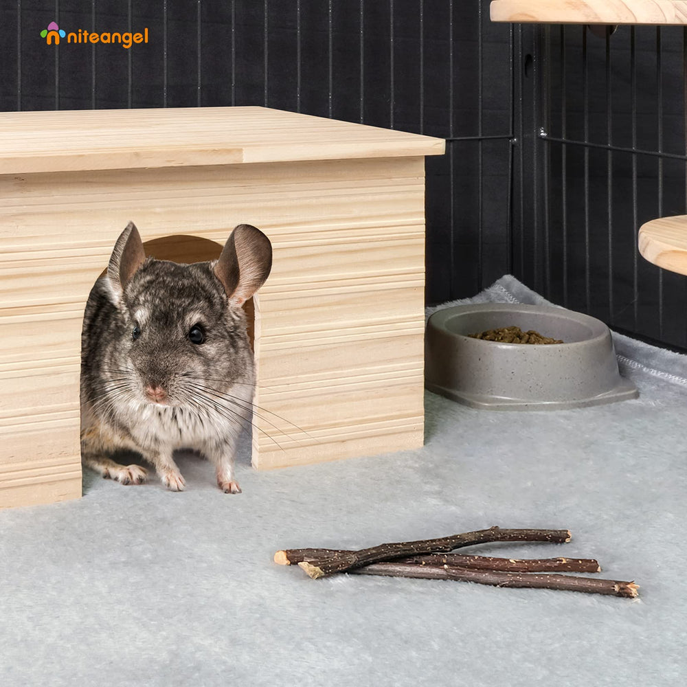 Niteangel cadeau petits animaux pomme – idée naturelle pour récompenser votre compagnon.