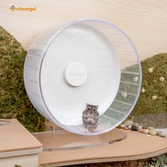 cadre-acrylique-roue-exercice-hamster par niteangel, base claire et durable.