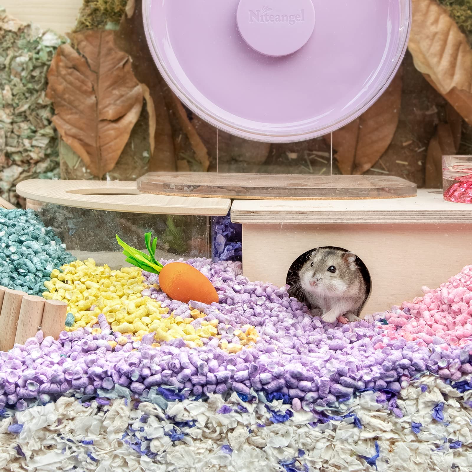 Jouet carotte Niteangel pour hamster et petits rongeurs, encourage le jeu