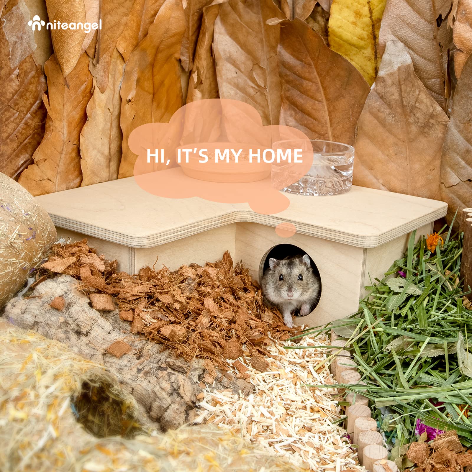 Niteangel-coin-dormeur-hamster-nain, coin repos paisible pour hamsters nains