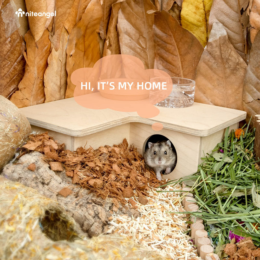Niteangel-coin-dormeur-hamster-nain, coin repos paisible pour hamsters nains