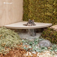 Niteangel couvercle-bois-bouleau — couvercle robuste protégeant le sable.