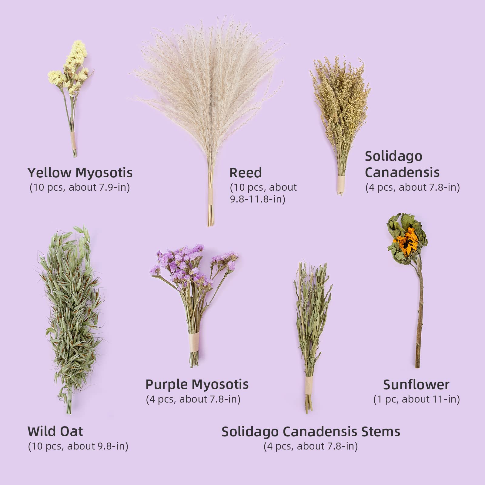 Niteangel décor-habitat-petits-rongeurs, cage plus attrayante et naturelle.