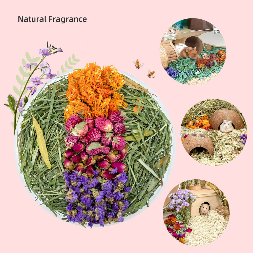 Décor naturel Niteangel pour petits animaux, habitat plus vivant