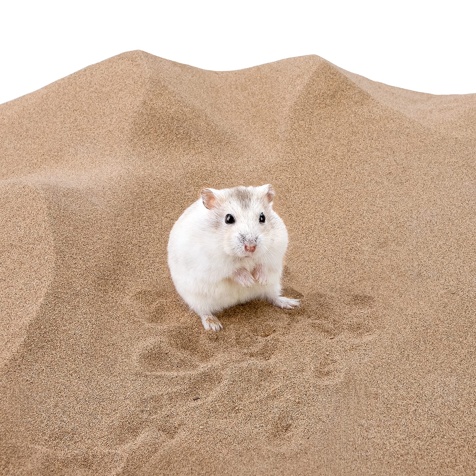 Niteangel sable désert pour degus, bain naturel et sans additifs
