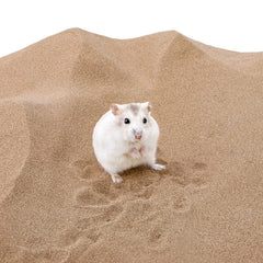 Niteangel sable désert pour degus, bain naturel et sans additifs