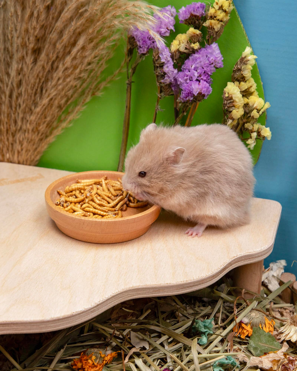 Niteangel délicatesse polyvalente, adaptée à divers petits animaux.