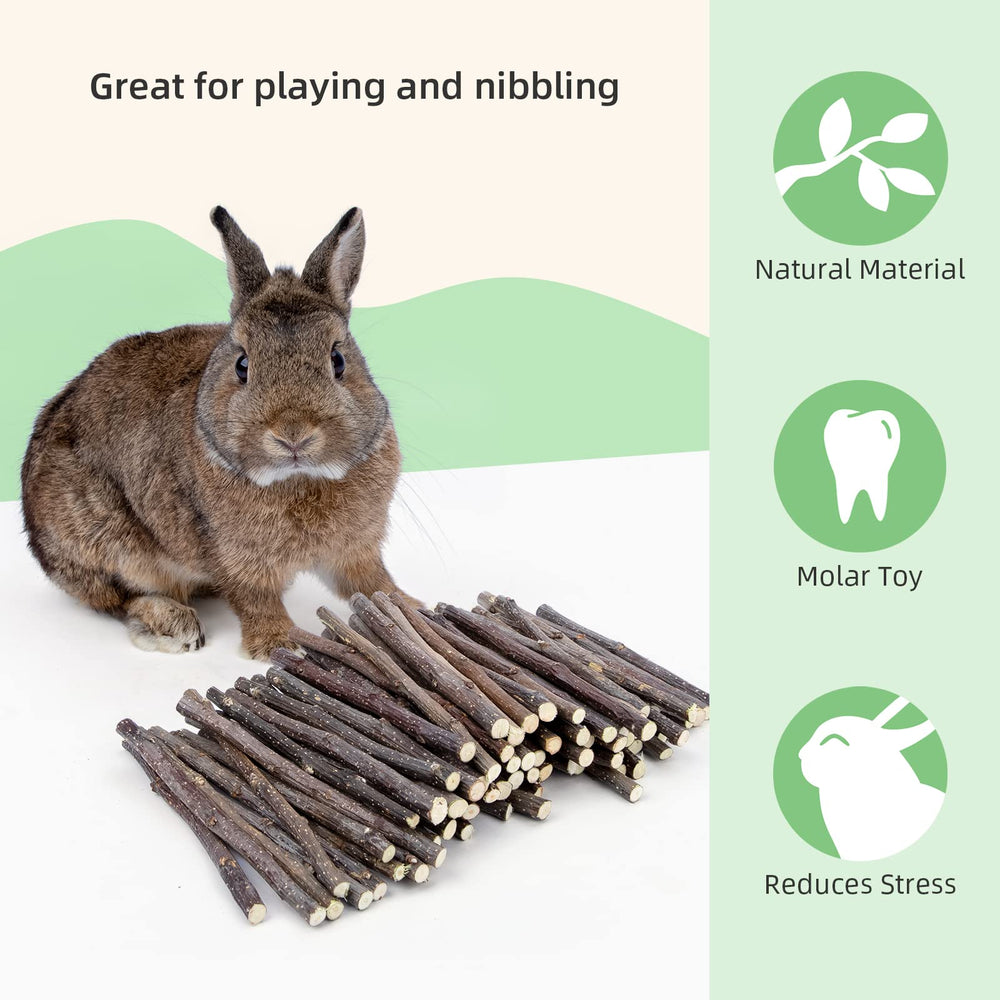 Niteangel dentition naturelle pomme – surface à mâcher pour user les dents en douceur.