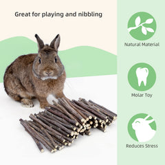 Niteangel dentition naturelle pomme – surface à mâcher pour user les dents en douceur.
