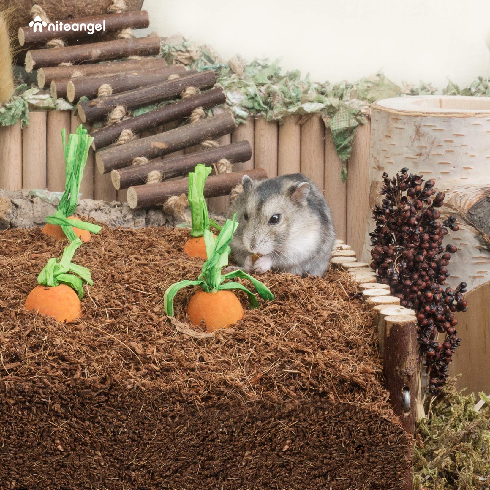Niteangel Litière coco-cork, hamsters en train de creuser et jouer