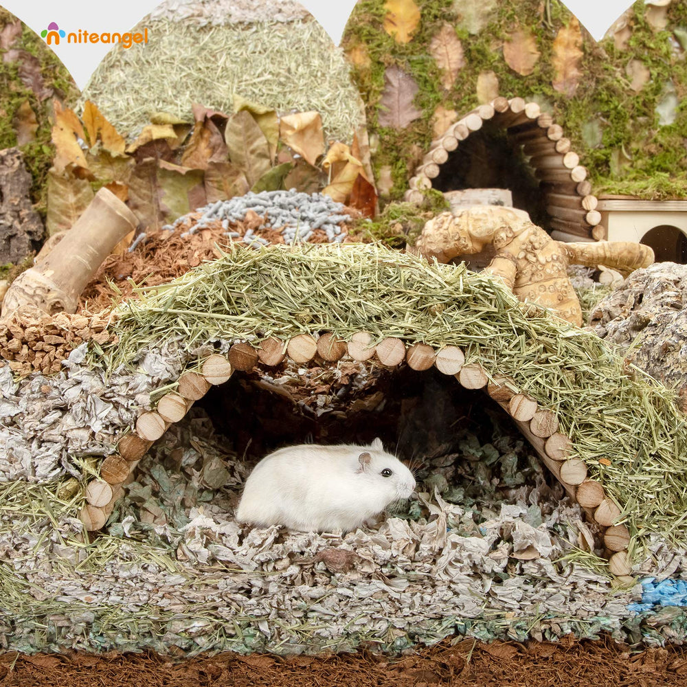 Niteangel échelle-pont pour petits animaux, facilite l'accès aux zones élevées.
