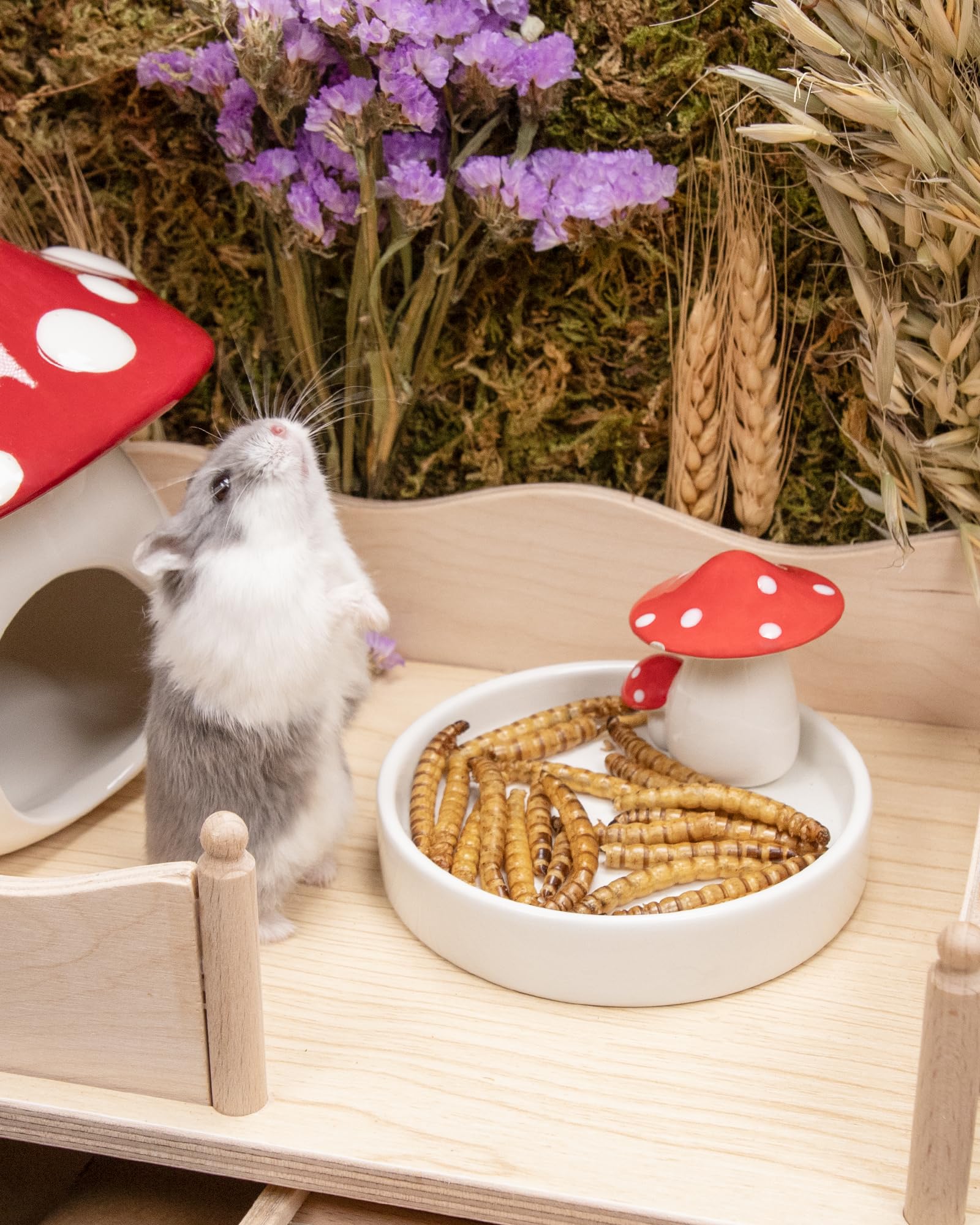 Niteangel emballage compact pour hamsters, dose pratique et facile à doser.