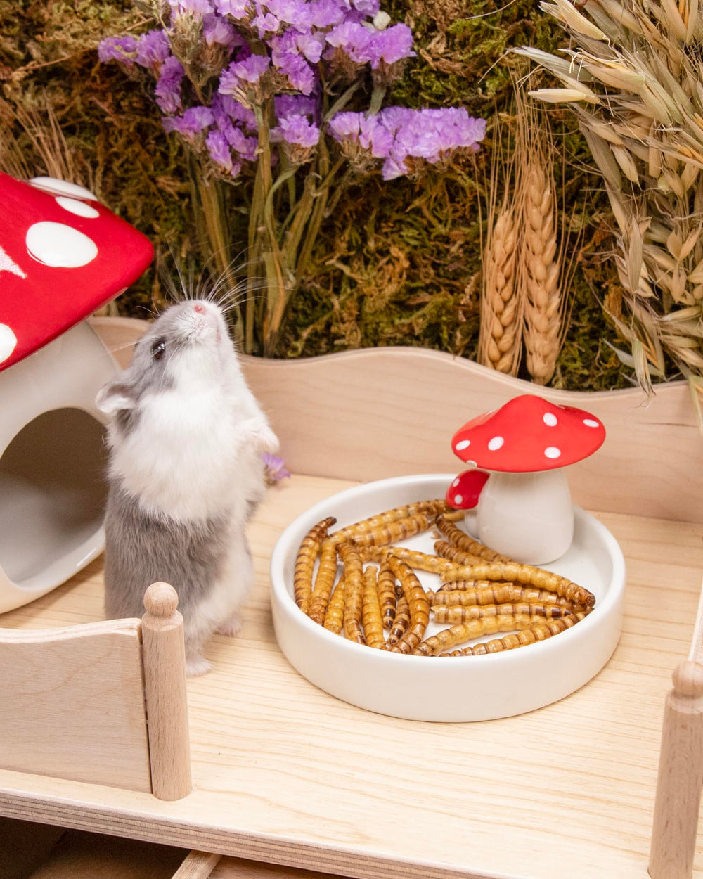Niteangel emballage compact pour hamsters, dose pratique et facile à doser.