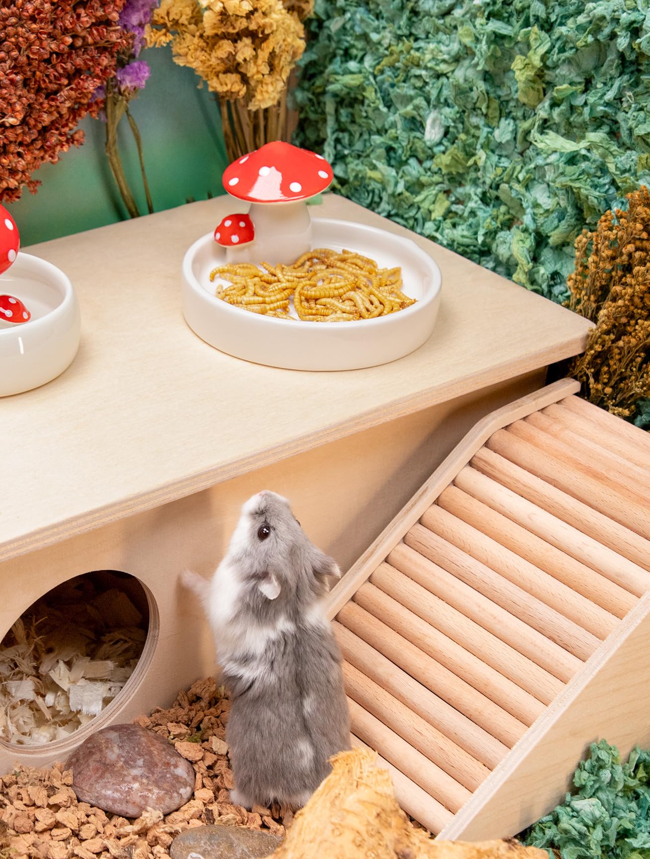 Niteangel enrichissement quotidien, snack sain pour petits animaux.