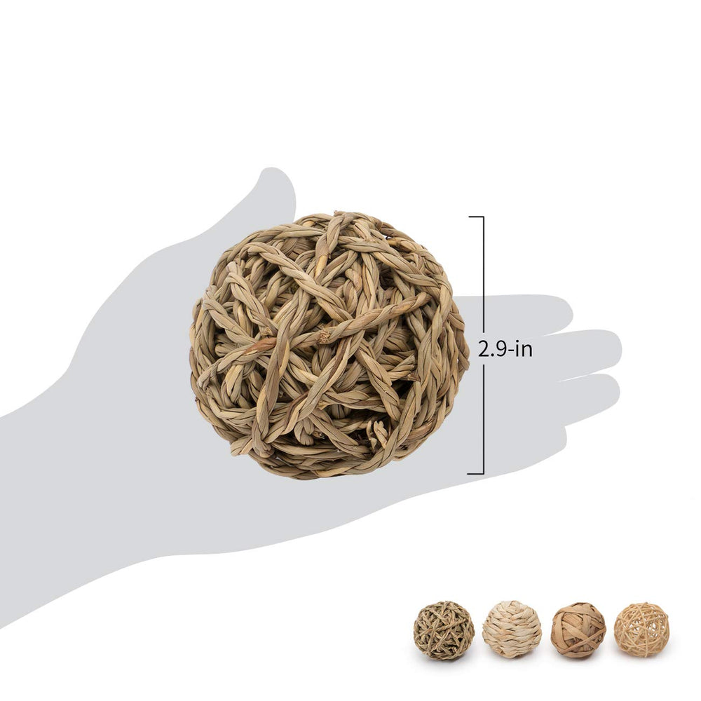 Niteangel ensemble de jouets masticables pour petits animaux, offre variété et amusement.