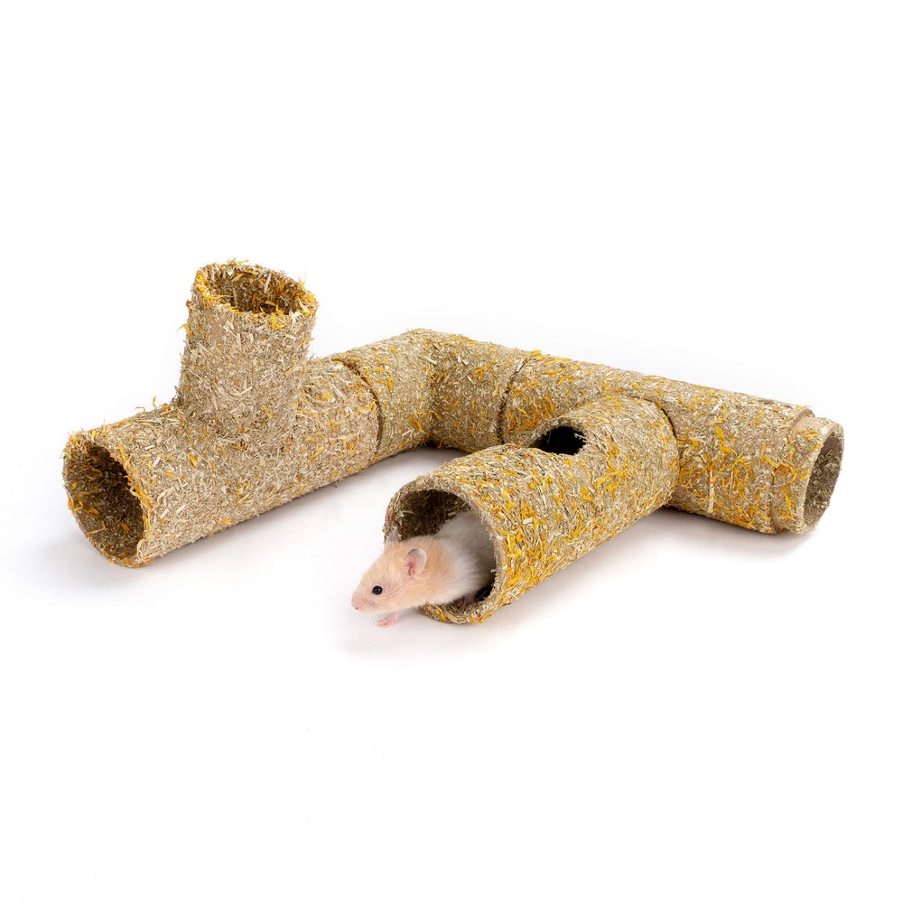 Ensemble tunnel Niteangel, crée un écosystème d'activités pour petits animaux.