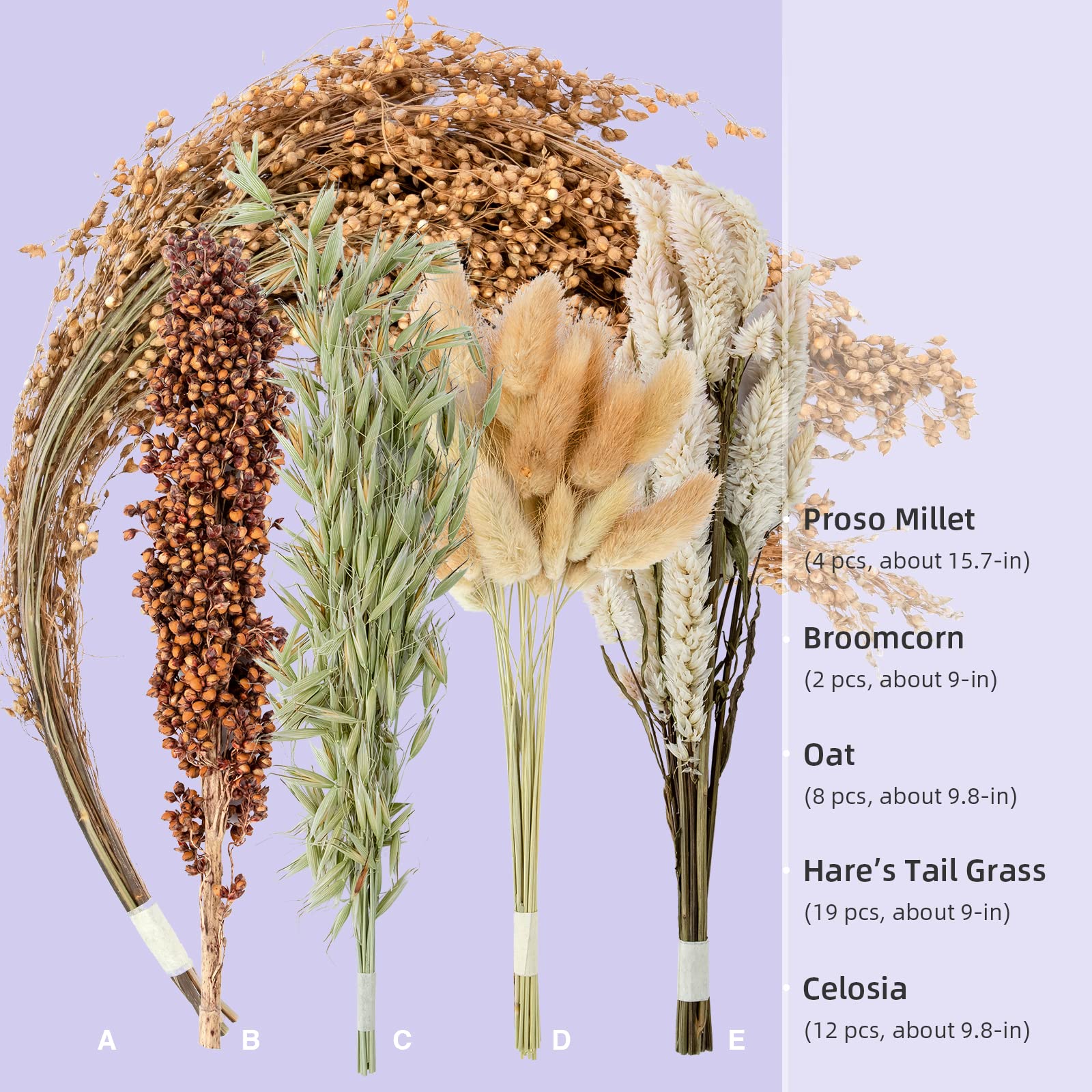 Niteangel fleurs seches pour rongeurs, texture enrichissante.