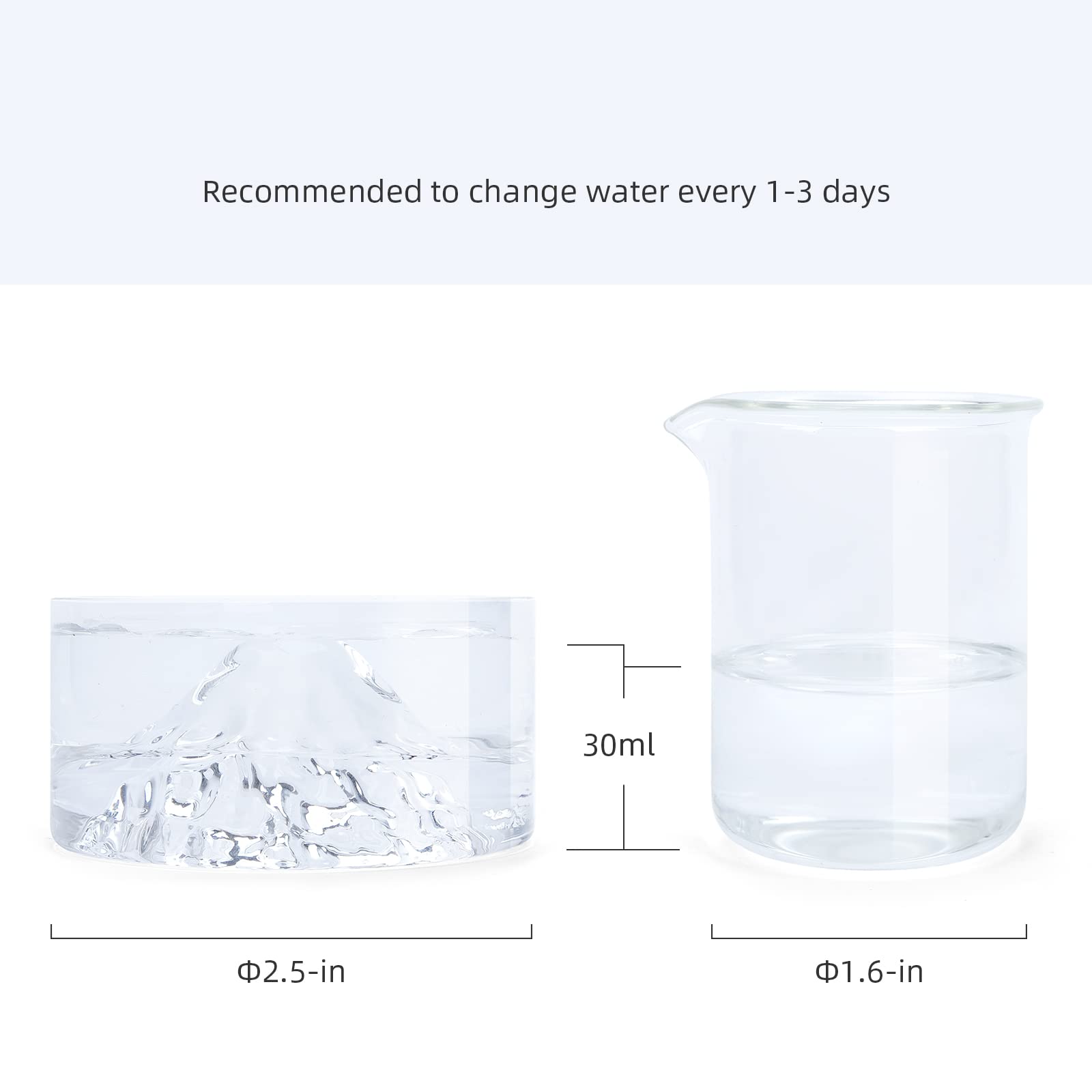 Gobelet verre Niteangel utilisable avec bouteille d'eau pour hamster.