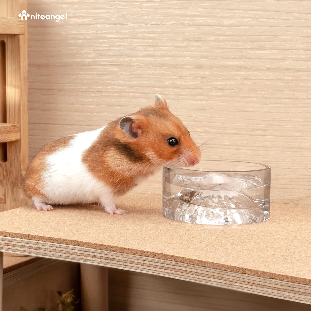 Gobelet verre transparent Niteangel pour hamster, stabilité et clarté.