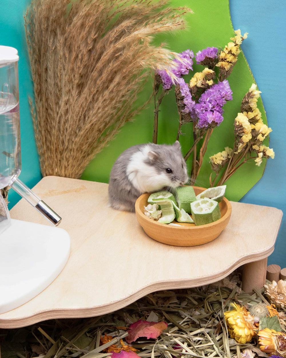 Niteangel gombo lyophilisé pour degus, option croquante et naturelle.