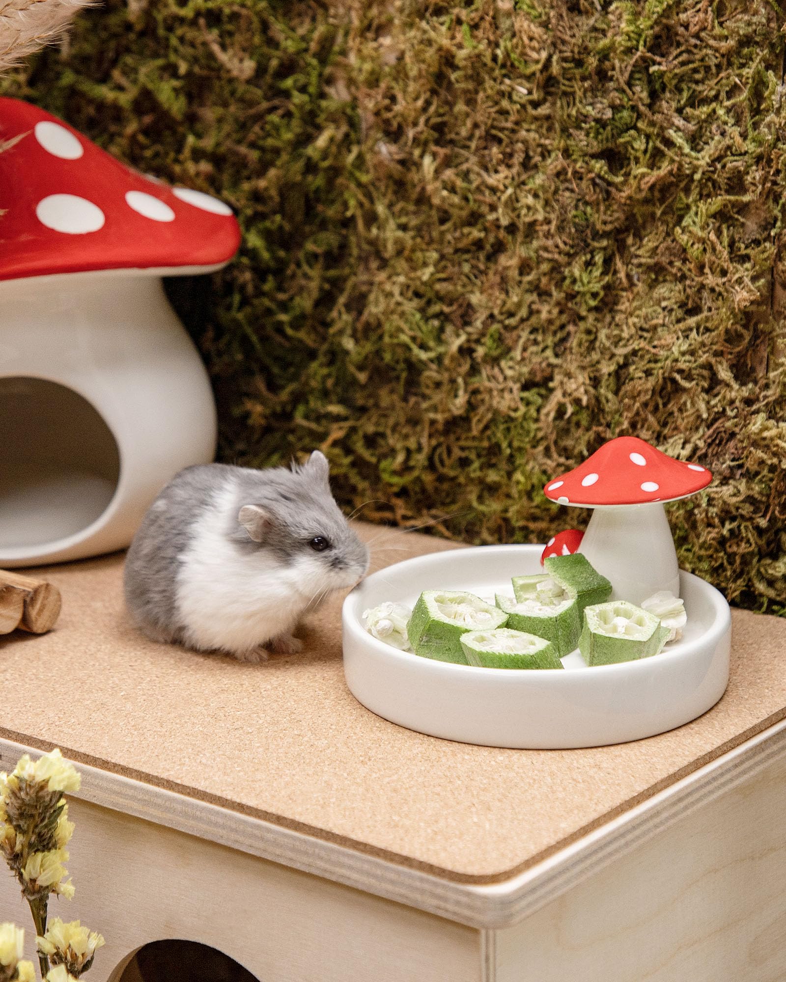 Niteangel gombo lyophilisé pour souris, complément pratique dans la cage.