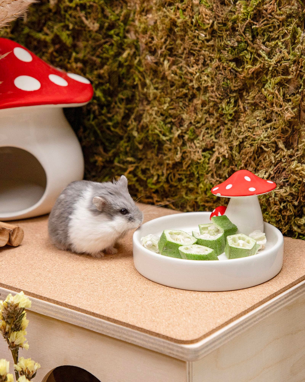 Niteangel gombo lyophilisé pour souris, complément pratique dans la cage.