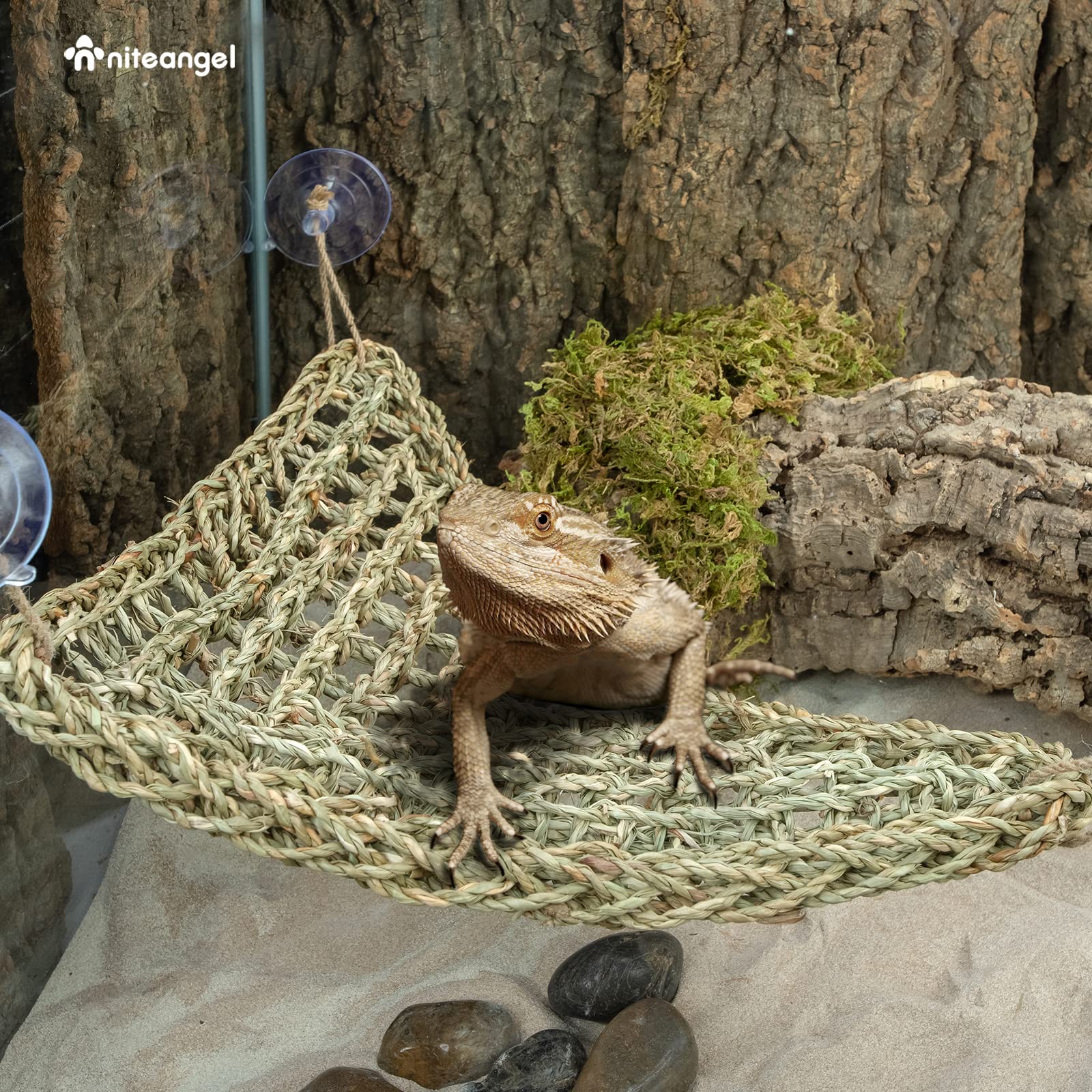 Niteangel hamac Dimensions 17x12,5 pouces adaptées à plusieurs reptiles.