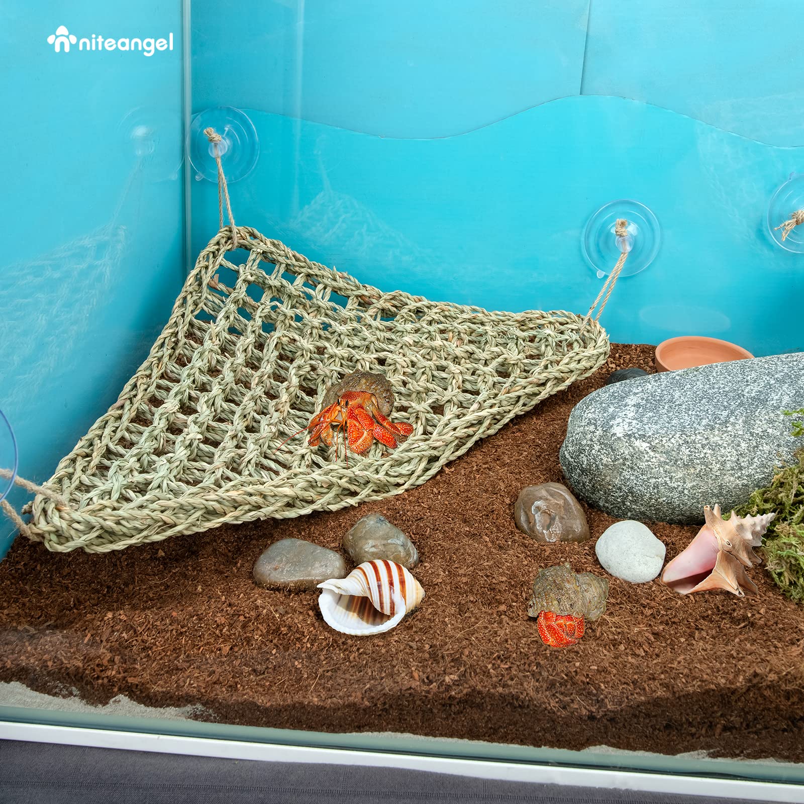 Niteangel hamac en algue tissé, doux et durable pour le terrarium.