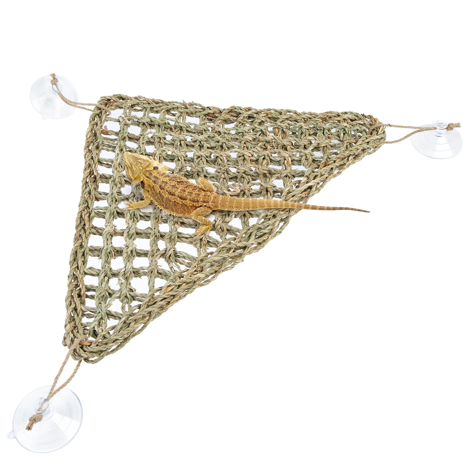 Niteangel hamac triangle algue tissé, confort et vue pratique pour reptile.
