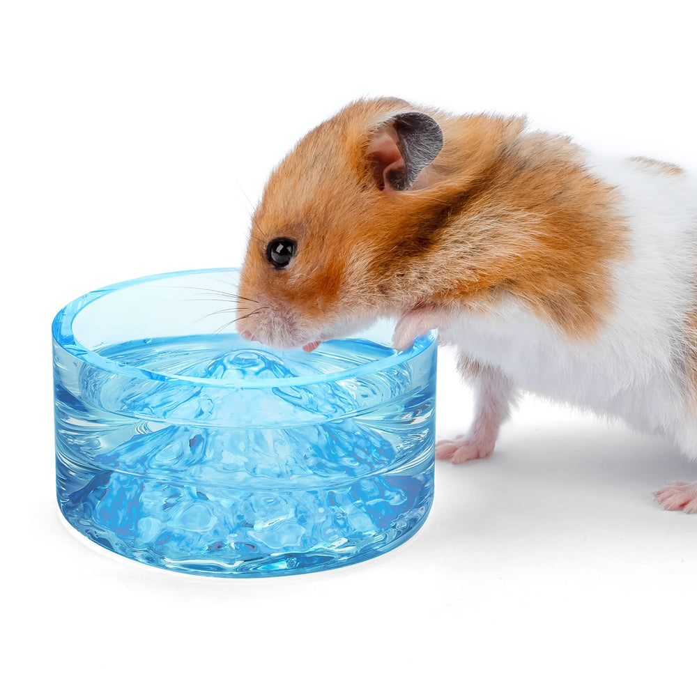 Bol d'eau en verre Niteangel Hamster Mont Fuji dans la cage.