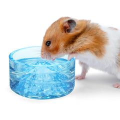 Bol d'eau en verre Niteangel Hamster Mont Fuji dans la cage.