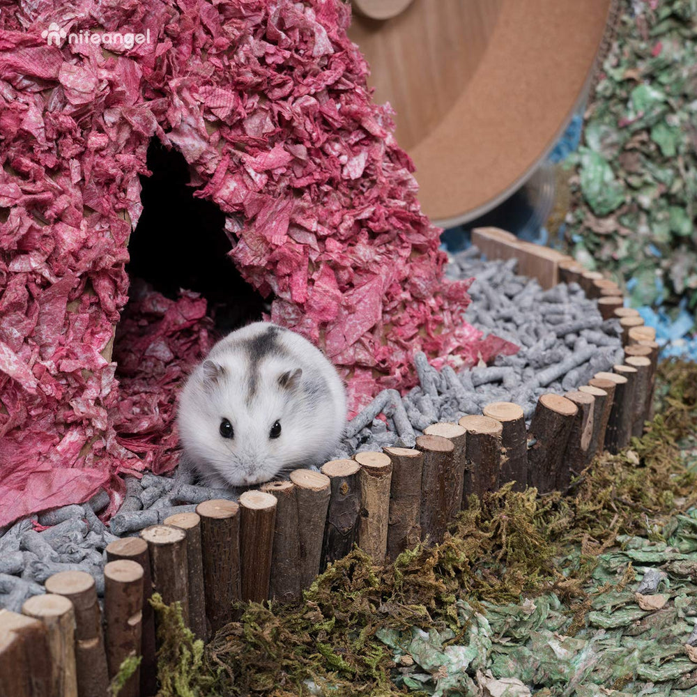 Décor d'habitat attrayant avec le pont pour petits animaux.