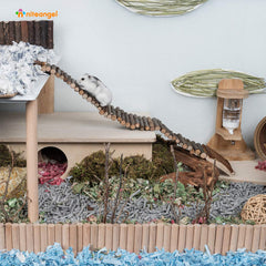 Niteangel échelle en bois pour hamster, montage facile et rapide.