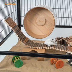 Hamster utilisant le pont, exercice et équilibre améliorés.