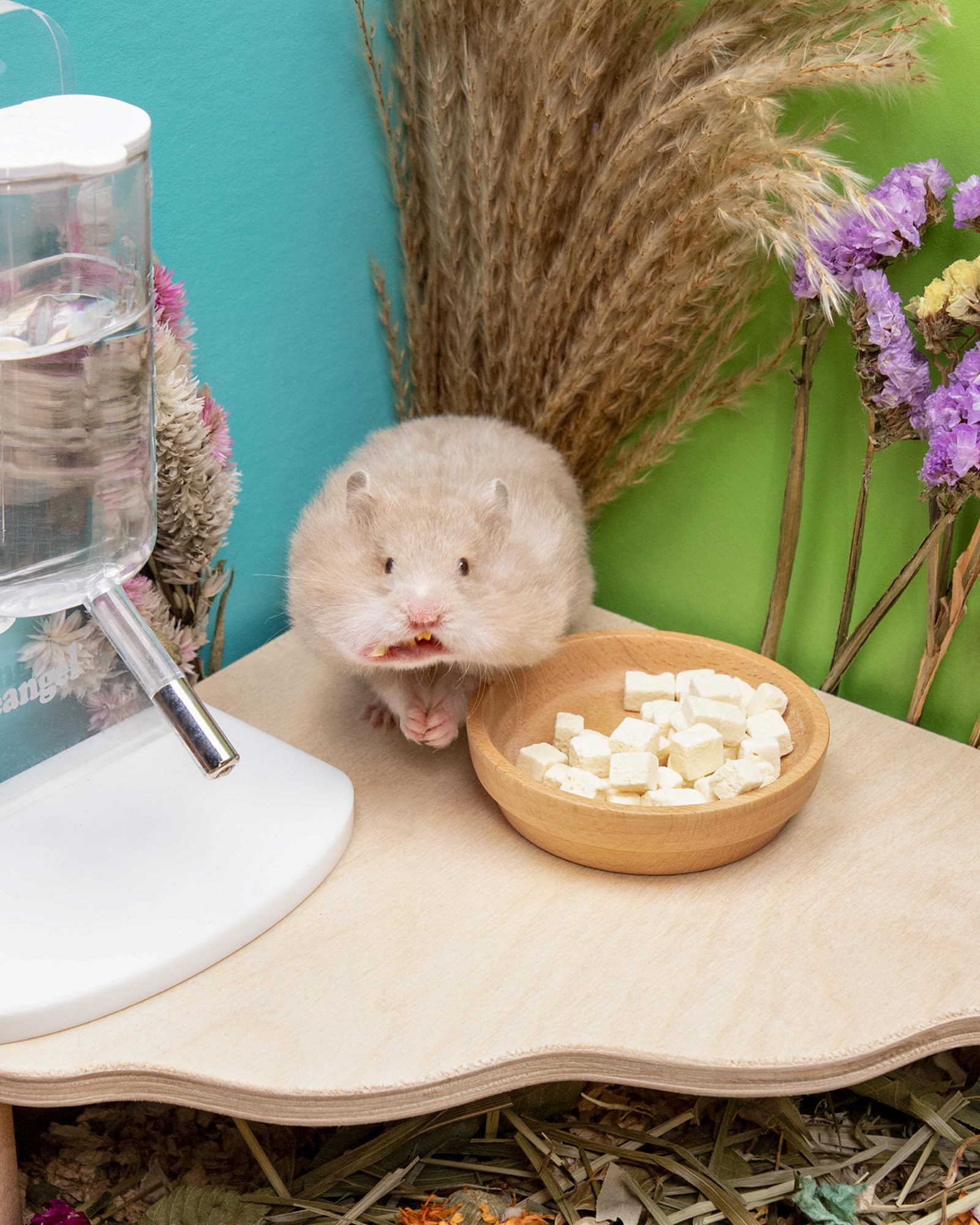 Niteangel hamster heureux – friandise naturelle pour moments de jeu et réconfort