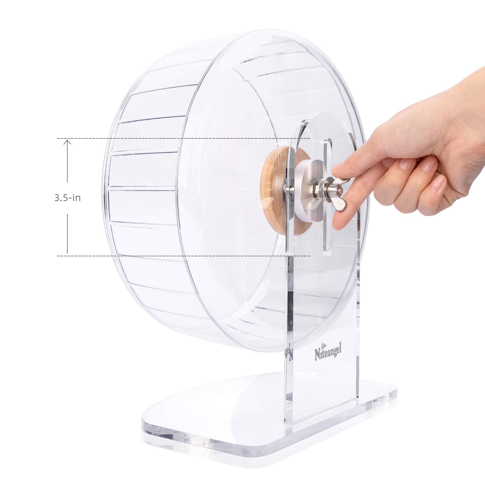 Petit animal utilisant la roue silencieuse Niteangel pour une activité fluide.