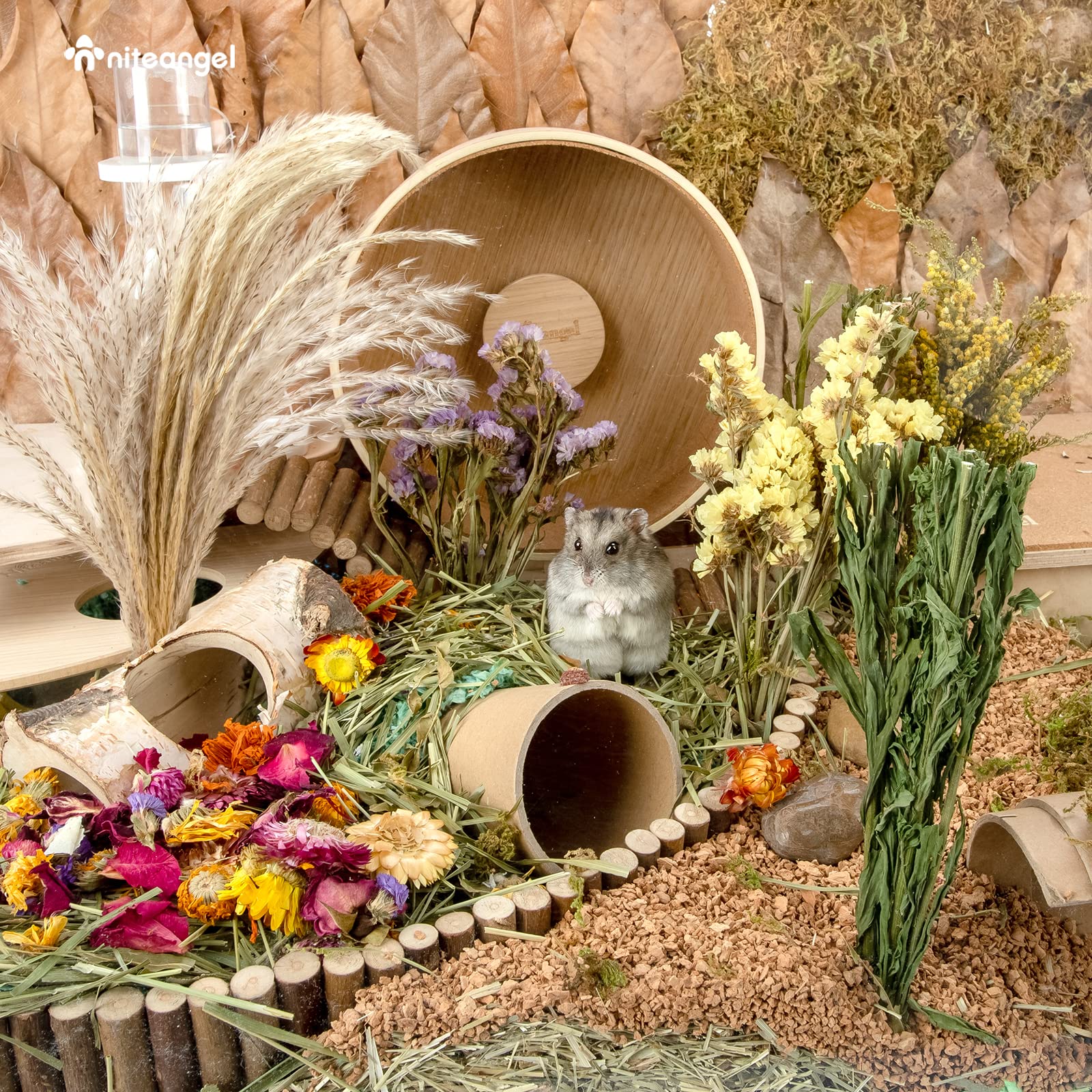 Niteangel Harvest Wind – bouquet-seche complet: décoration naturelle et stimulation de l'exploration.