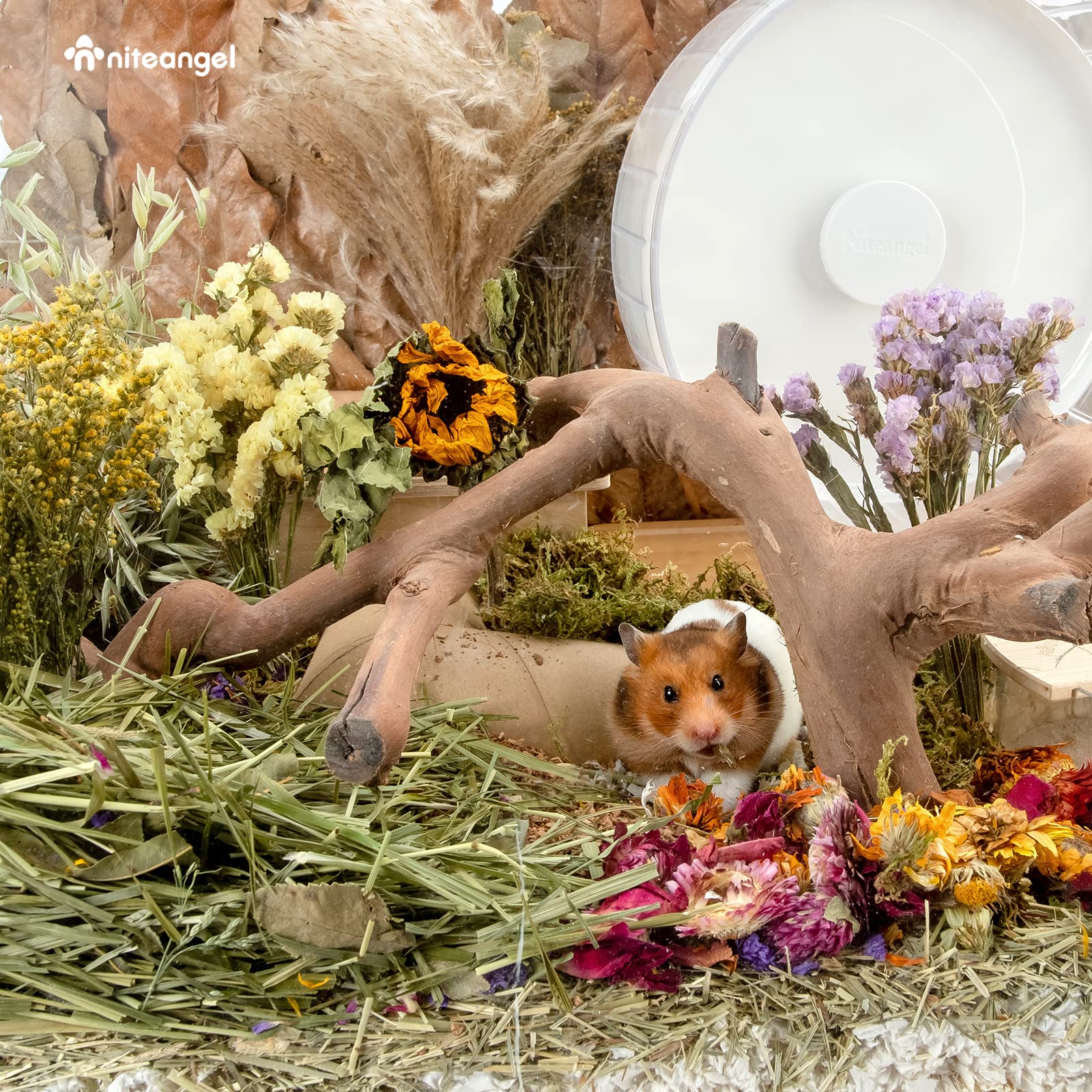 Niteangel Harvest Wind – tournesol-seche: touche lumineuse et décorative pour l'espace jeu.