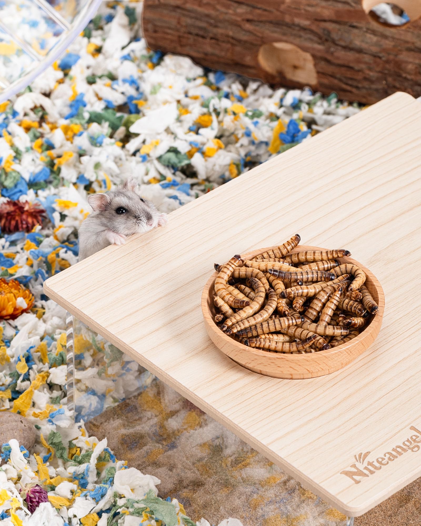 Niteangel ingrédients naturels – sans additifs pour une dégustation pure.