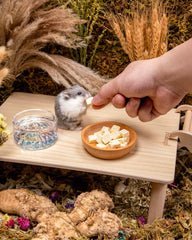 Niteangel ingrédients purs – sans additifs pour une friandise saine