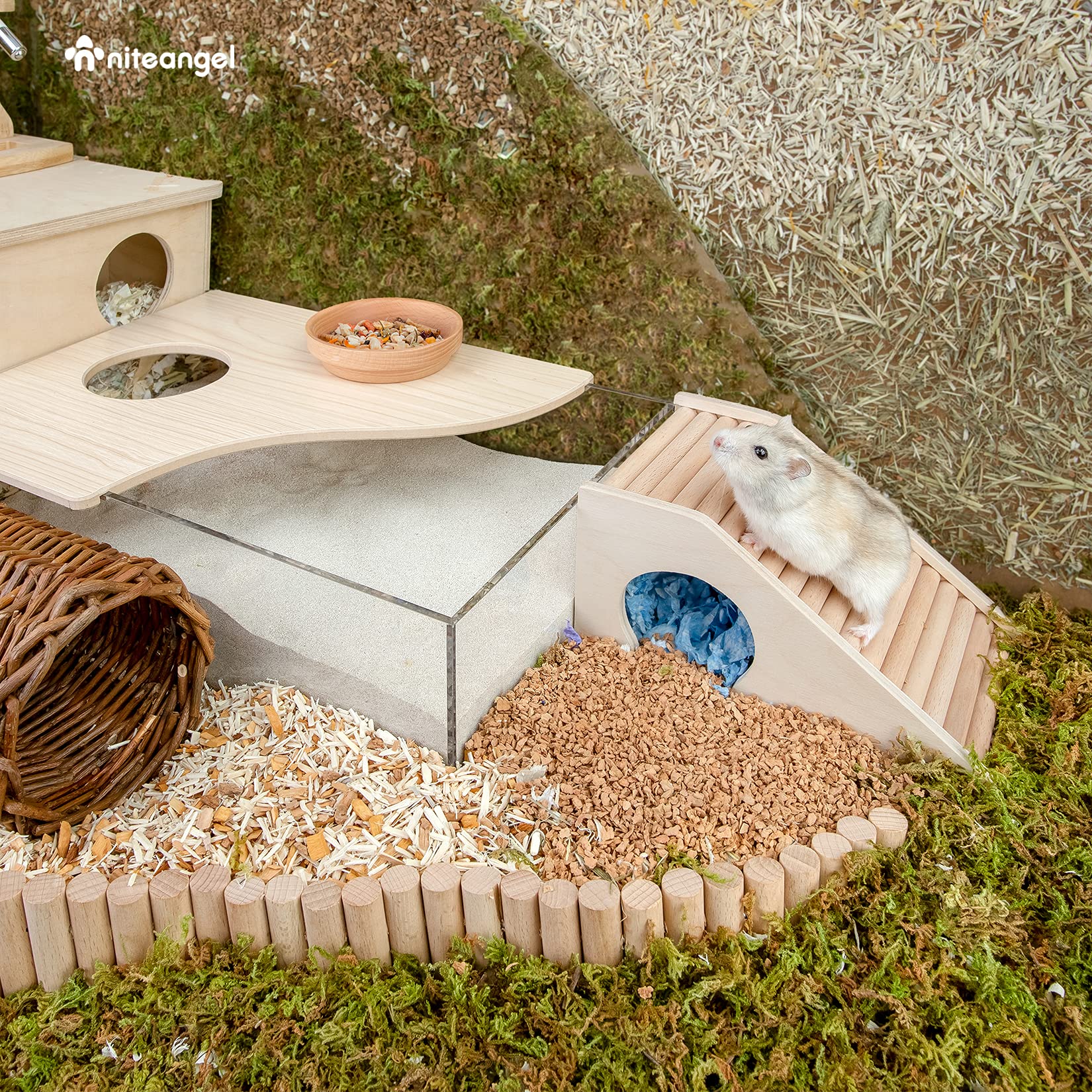 Niteangel maison hamster escalier-grimpe: favorise l'équilibre et le jeu actif.