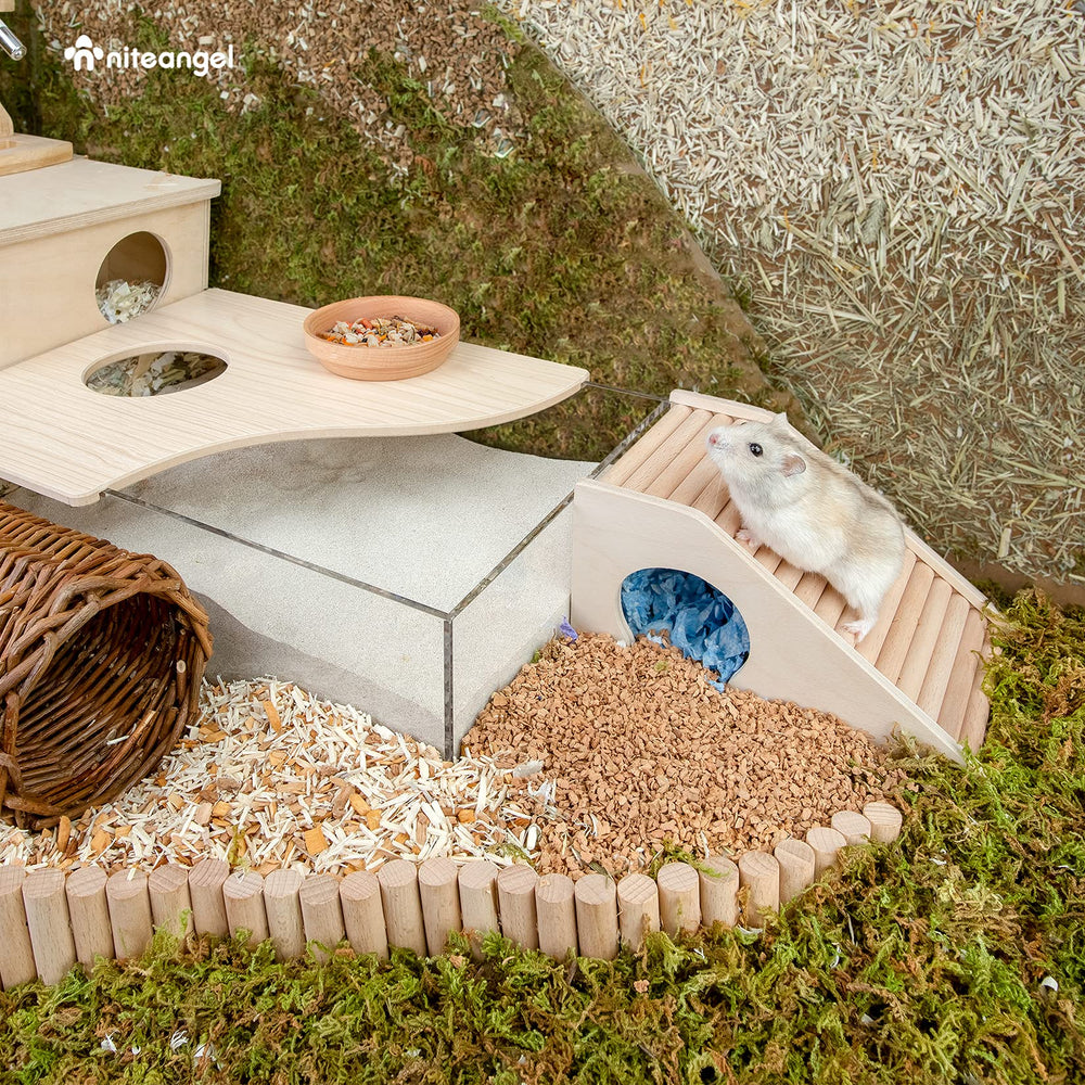 Niteangel maison hamster escalier-grimpe: favorise l'équilibre et le jeu actif.