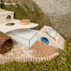 Niteangel maison hamster escalier-grimpe: favorise l'équilibre et le jeu actif.