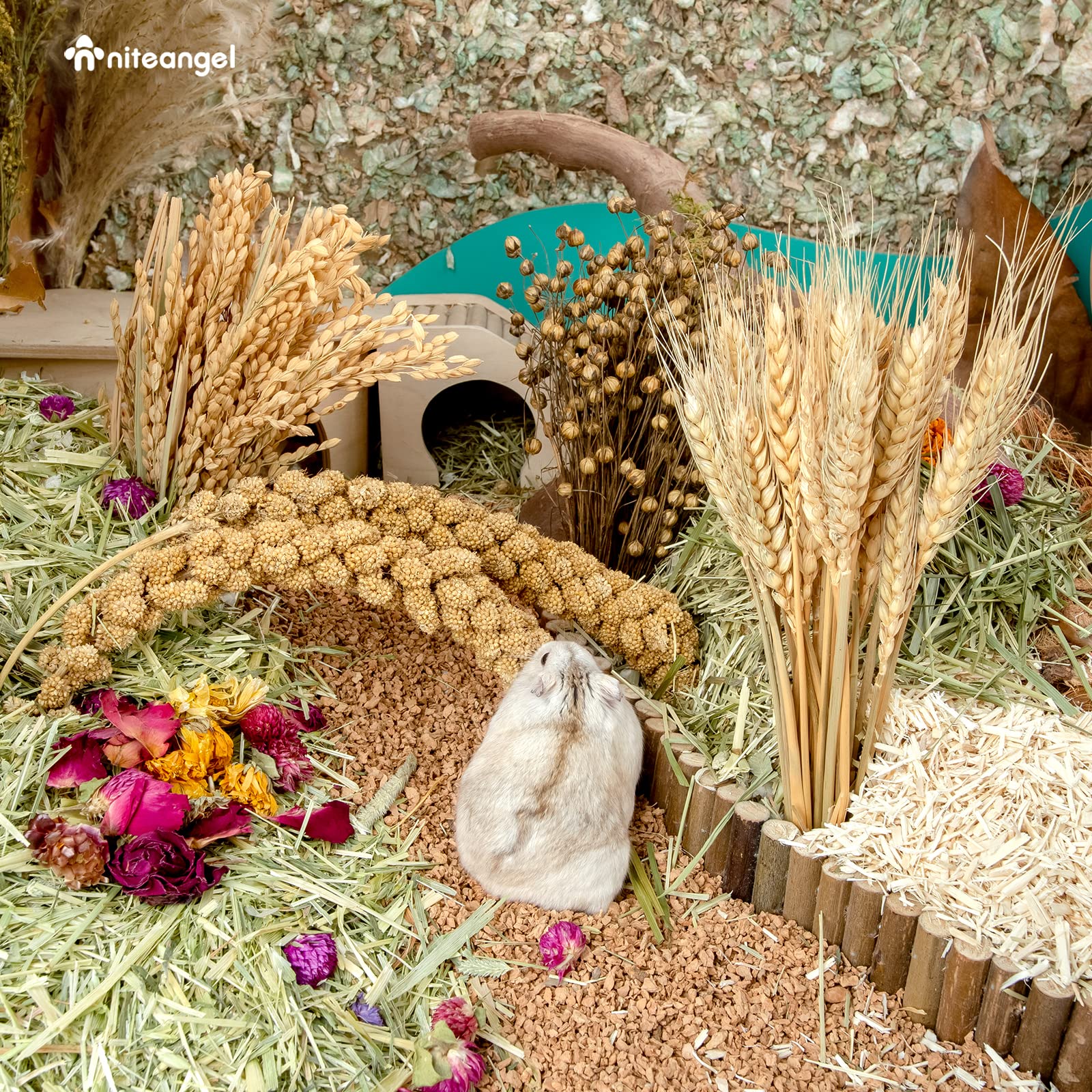 Niteangel matières naturelles habitat hamster, enrichissent les possibilités de mastication.