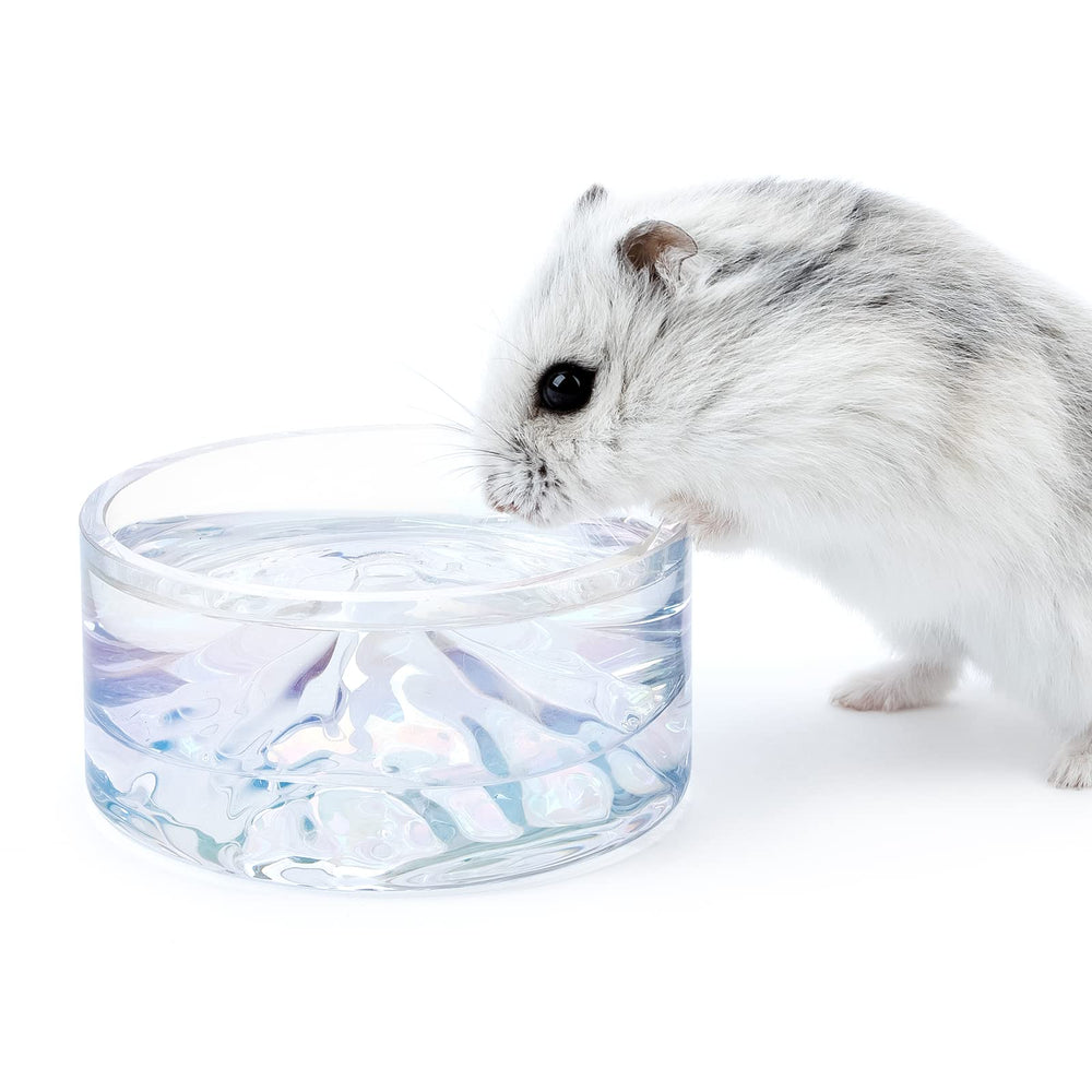 Niteangel Mont Fuji: bol en verre 50 ml dans la cage, ensemble pratique.