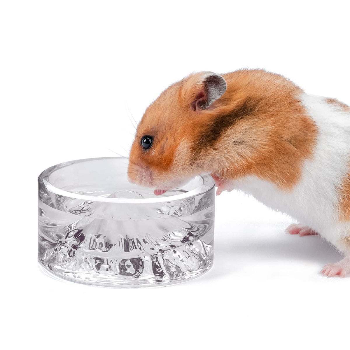 Niteangel Mont Fuji en verre, gobelet d'eau pour hamster, hydratation facile.