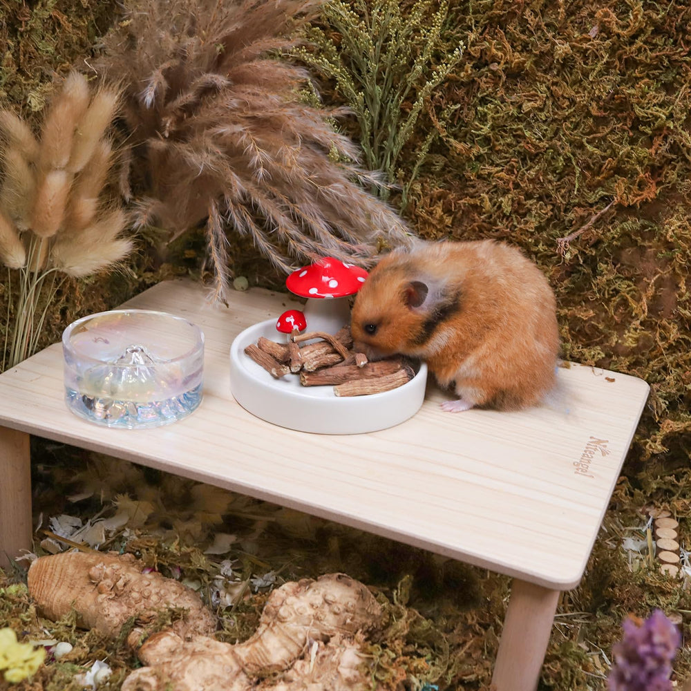Niteangel Morsure ludique, moments de jeu pour petits animaux.