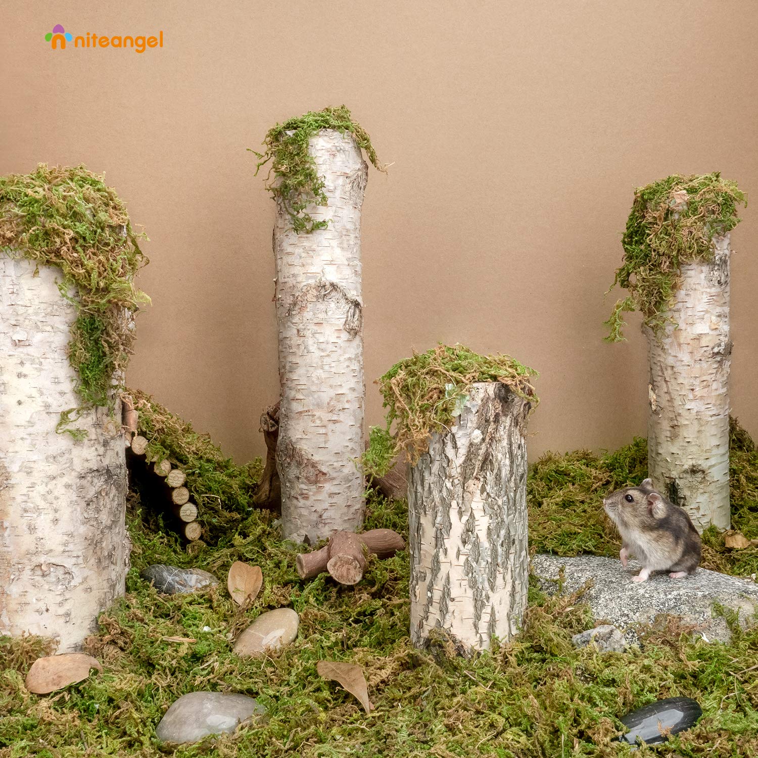 Niteangel mousse naturelle créant un habitat naturel pour petits animaux.