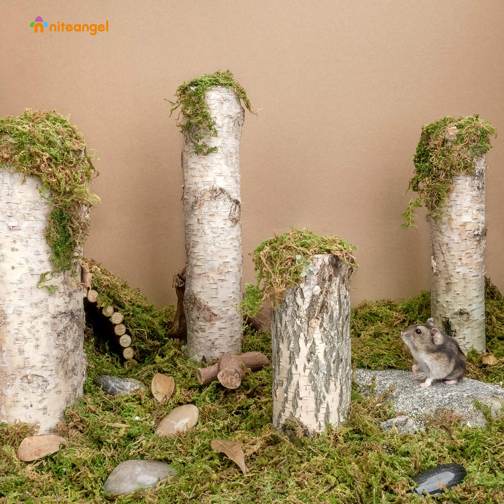 Niteangel mousse naturelle créant un habitat naturel pour petits animaux.